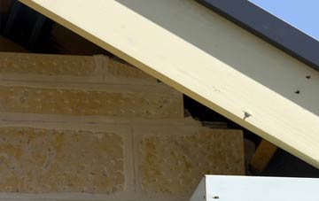 soffit repair Crombie